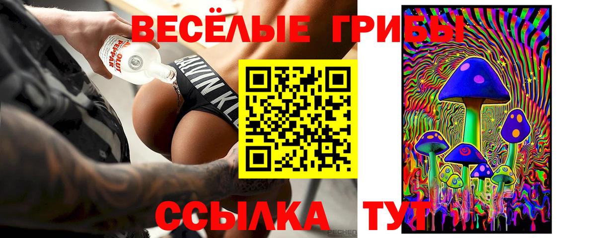 Галлюциногенные грибы мицелий  Псилоцибиновые грибы GOLDEN TEACHER  Вход с VPN  Октябрьский 